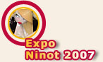 Expo Ninot 07