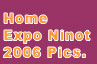Expo Ninot 2006