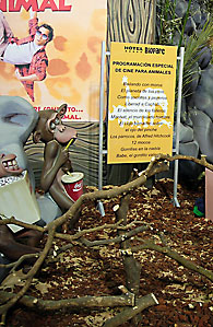 Falla Ayuntamiento