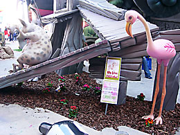 Falla Na Jordana