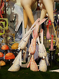 Falla Jess-S. Francisco