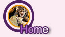 Home Fotos Fallas