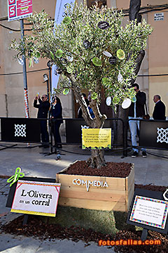 olivo